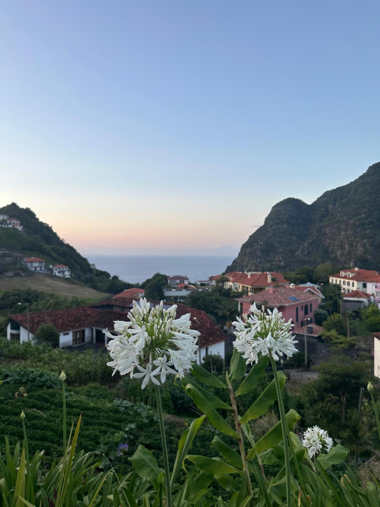 The Green Valley House Sao Vicente  Luaran gambar